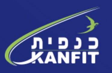 כנפית